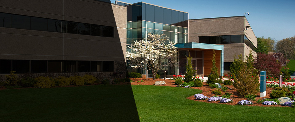 New City Landscapers