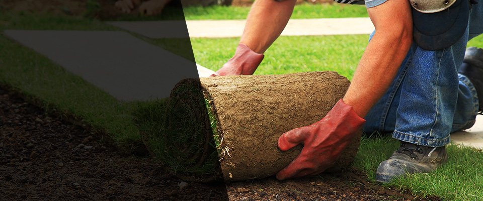 New City Landscapers